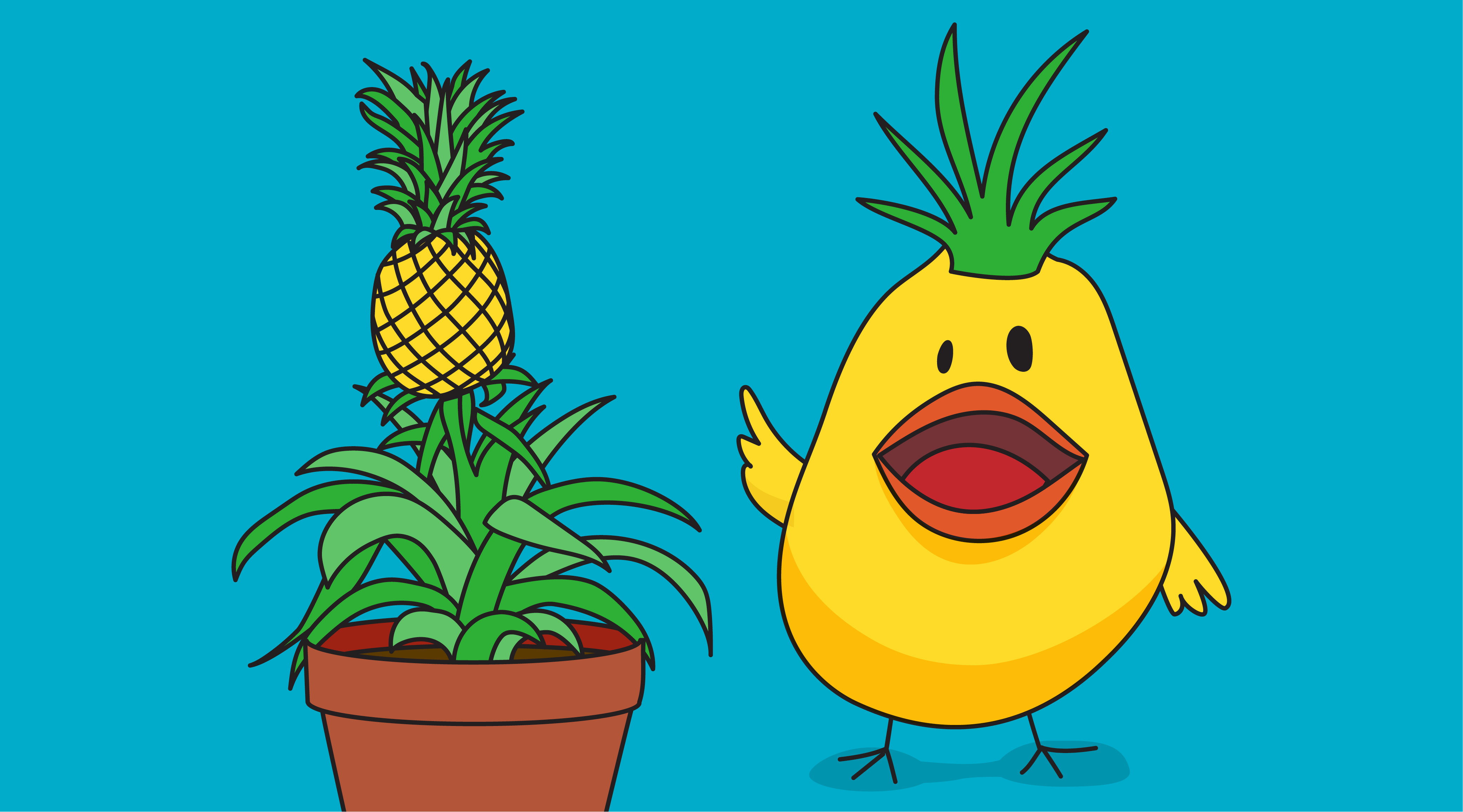 grow-pineapple-experiment.png