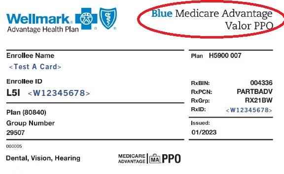 Blue-MedicareAdvantage-SDid2.jpg